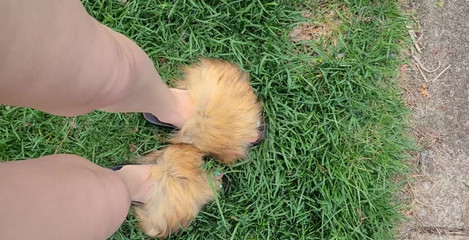 Raven Willow: Mmmm Tonton Mainan Sempurna Saya, Dengan Toe Rings Dan Fuzzy...