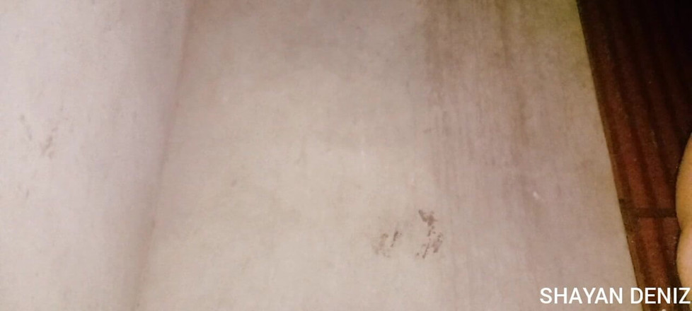 SHAYAN DENIZ: Shayan Deniz - 찐 아마추어 욕실 세션