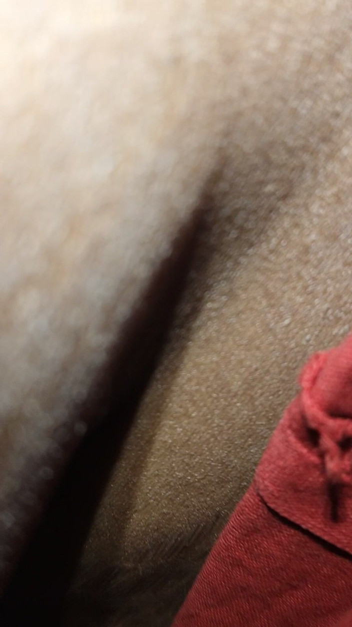 BR50451: Indiana xxx vídeo