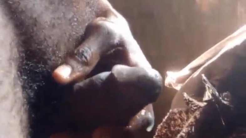 Bangcum8: 长鸡巴男孩射在女朋友科尔特身上