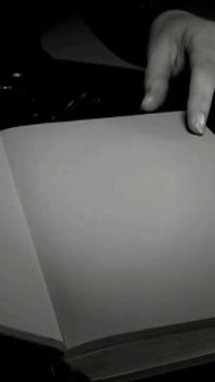 Trailer 376