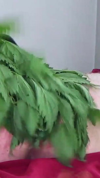 Pukulan bunyi dengan Nettles Menyengat