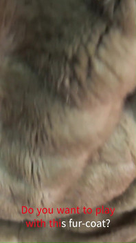 Do You Want to Play with This Fur-coat?