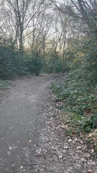 Walking in the Wood