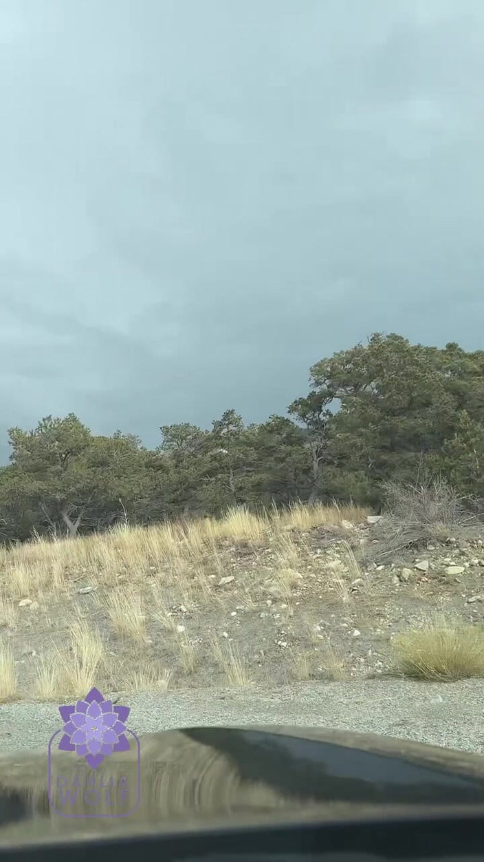 Dahlia Wolf: Whirlpool, blowjob und sperma auf titten