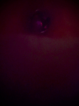 sCk: Kolík v mém zadku