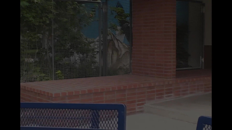 Blitzporn: Дезире Мур хочет, чтобы его трахнули, как настоящую маленькую шлюху