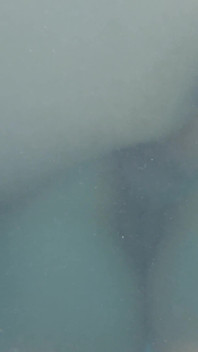 Riskantní tajný sex v bazénu s nevlastní sestrou a rozptýleným nevlastním otcem na grilu