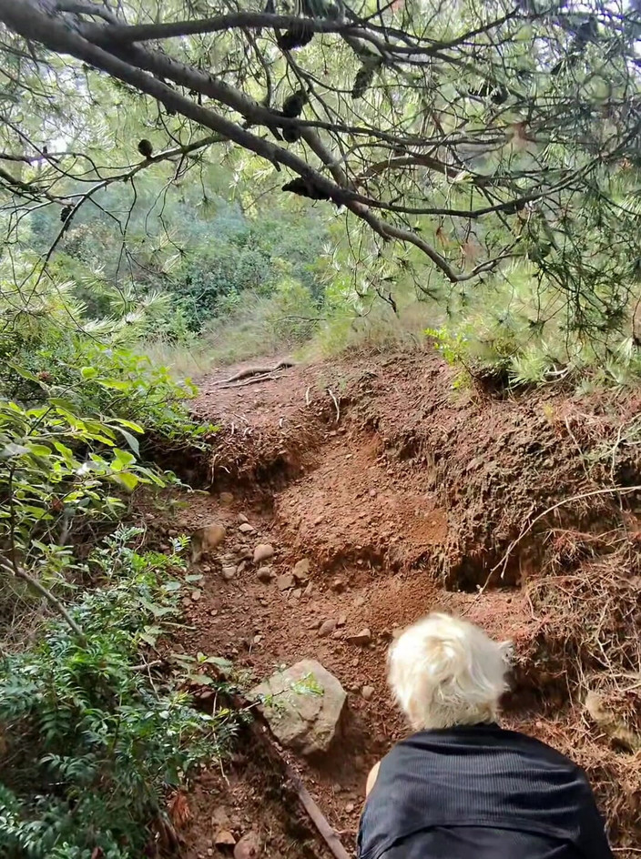 Sofy13: Letar Du Efter Ett Hörn I Skogen För Att Bli...