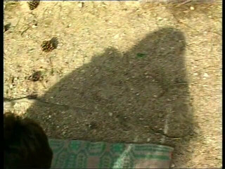 The Swingers & CO.: Adegan Stepniece A Little Babi 01