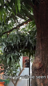 Přistihla jsem svého kolumbijského souseda, jak krade mango z mého stromu, a skončili jsme spolu na zahradě! - Vesmírné produkce
