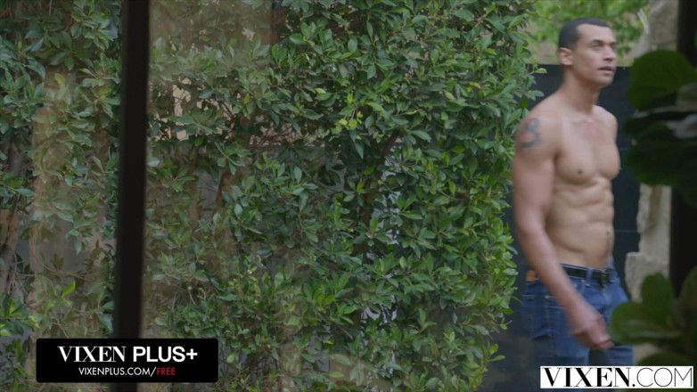 Vixen: Vixen, вона любить контролювати себе