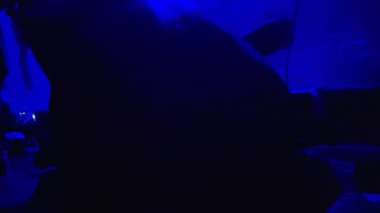 Busty Banuu: Xxx tam eğlence gecesi seks porno videosu
