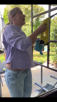 Should I clean your windows too?
