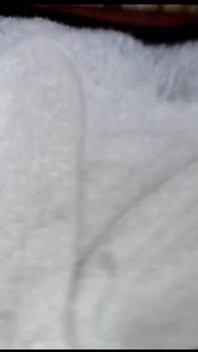 Permainan sperma: nylonfsse