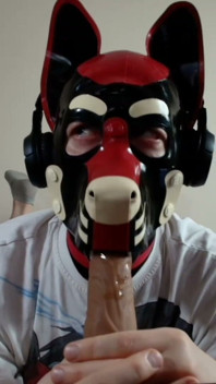 Latex Pet Sucks His Rubber Bone. Watch the Full on My Fancentro
