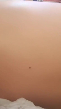 Ma demi-sœur est S. mais je veux baiser sa chatte étroite encore (creampie)