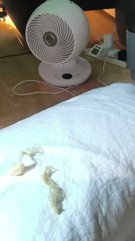 I Found 2 Used Fully-loaded Condoms Outside. Here's What Happened Next...