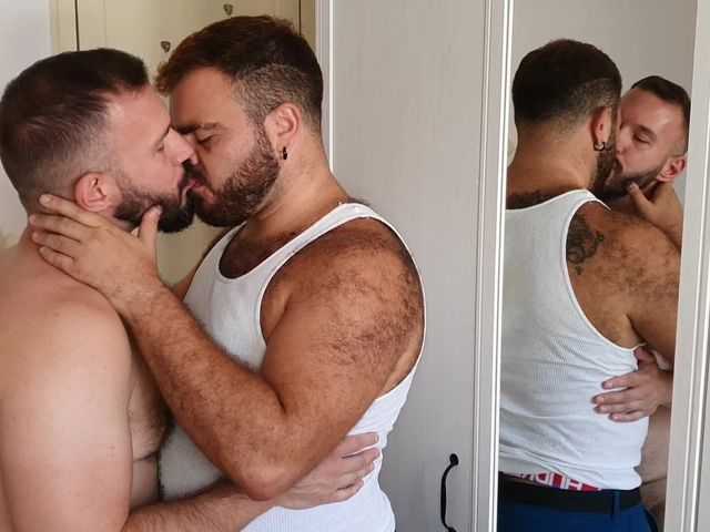 Bears at Play (Scruffy Stocky)