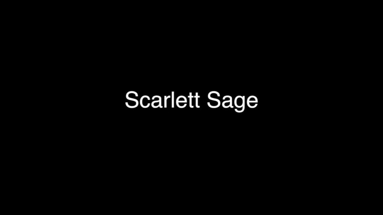 Eros POV - Liberated Eye: Can you back up your texts with action? Scarlett Sage -...