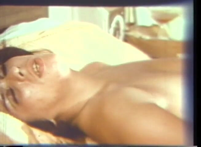 Vintage Usa: ヴィンテージセックス毛深い猫舐め