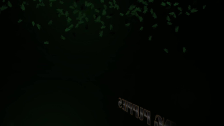 The Playing Puppies: Joaca Plăcerii pe rack robie, labă, adidași, pantofi mirositori și bile...