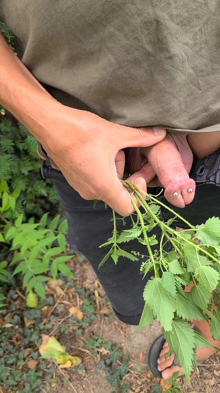 Terpene: Nettle Outdoors