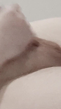 I Love My Little Cock Do You? Mermex Needs You Xd