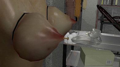 Multimediak: レズビアンお仕置き部屋パート2