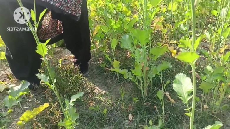 Kavita69: Дезі Сільська Бхабхі Відтрахана Деваром На Відкритому Повітрі