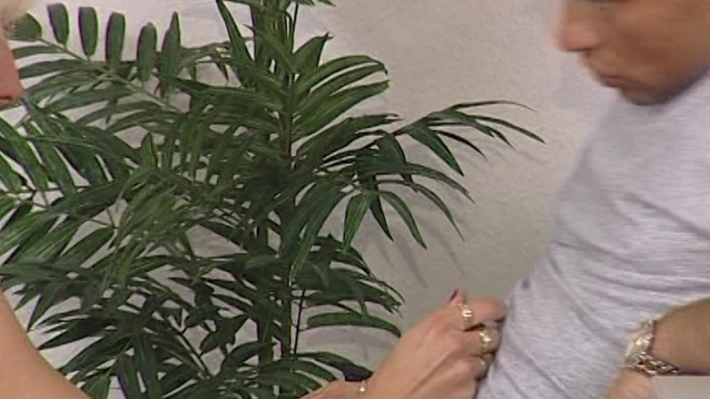 VintageXMovies: Horny Blonde MILF Fingers and Sucks Cock on Couch