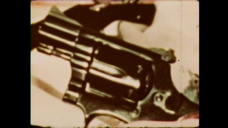 Vintage Megastore Full hd: 猪吃了我的