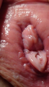 Pussy and Anal Masturbation Closeup
