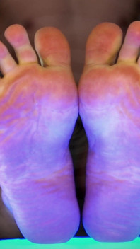 我的脚规则你的思想