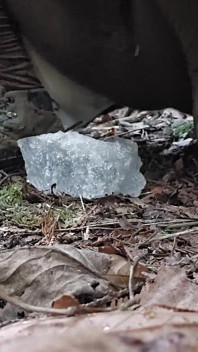 Ice Pee Expedition
