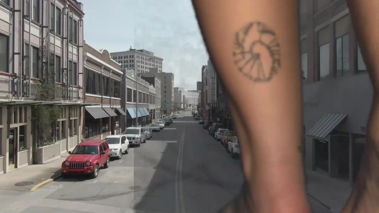 Sasha Curves: 자란