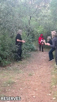 Caperucita Roja Es Follada En Gangbang Por Sus Hombres Lobo