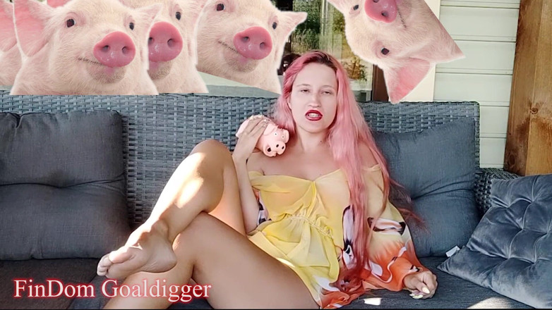 FinDom Goaldigger: Рассмотрение заявки на наличных рабынь