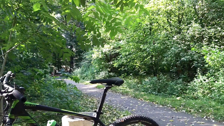 Extremalchiki: Міський парк, лавка мастурбації