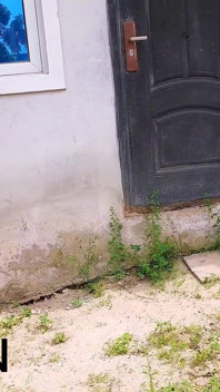 ISTERI CURANG DI RUMAH