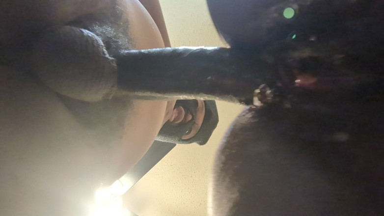 Themeatz: Goditi la vista Ti piace la pecorina?!