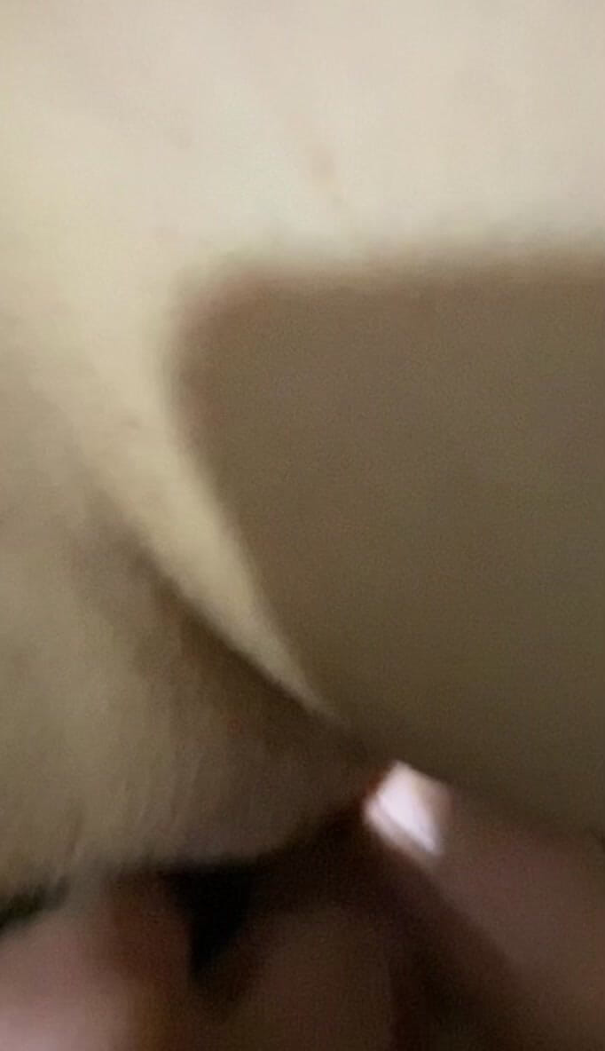 Mudur_bey35: Rakaman dekat Dildo dan Pepek