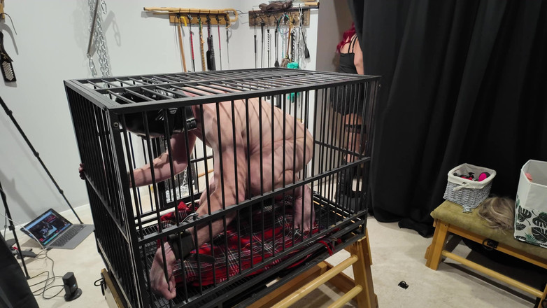 The Izars: Sekreteraren avsnitt 6 uttar