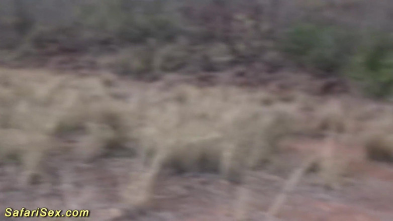 Safari sex: Afrikanische hausfrau von sex-touristen hart geknallt