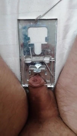 Adashah: Piccolo pene e trappola per topi. Cbt bDSM da solo
