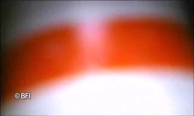 Extreme Insertions: Jus de chatte orange.