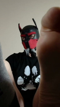 Playful Pup Tease Tickles Crotch Close