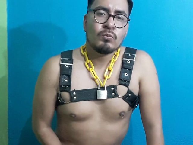 I Love Using This Harness, I Feel so Slutty! (Second pot)