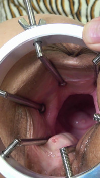 What's Inside of Me