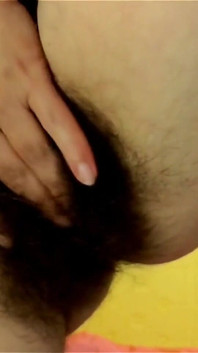 Sexig retas